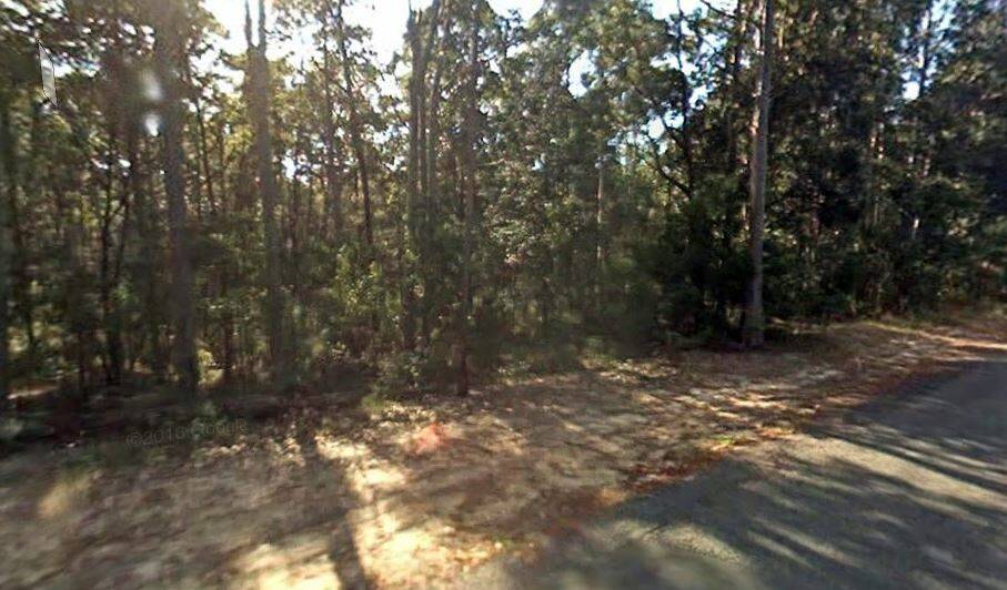 Street view of the property on Seasongood Road, Woollamia. Picture: Google Maps
