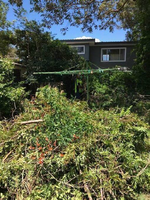 NIGHTMARE: It took weeks for Tara to completely rid her backyard of green waste after renters left it in an overgrown state. It was a fire hazard through summer.