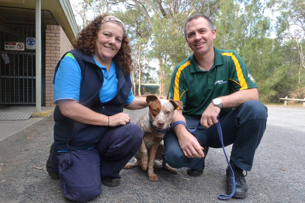 CHANGE IN HANDS: RSPCA worker Sharon Johnson, council ranger Chris Dwyer at Shoalhaven Animal Shelter on Monday. Picture: Rebecca Fist