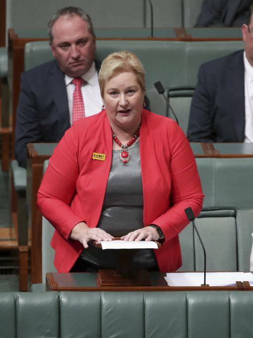 ENOUGH IS ENOUGH: Gilmore MP Ann Sudmalis' speech to the house in September night where she accused Kiama MP Gareth Ward of bullying and undermining her. Photo: Alex Ellinghausen