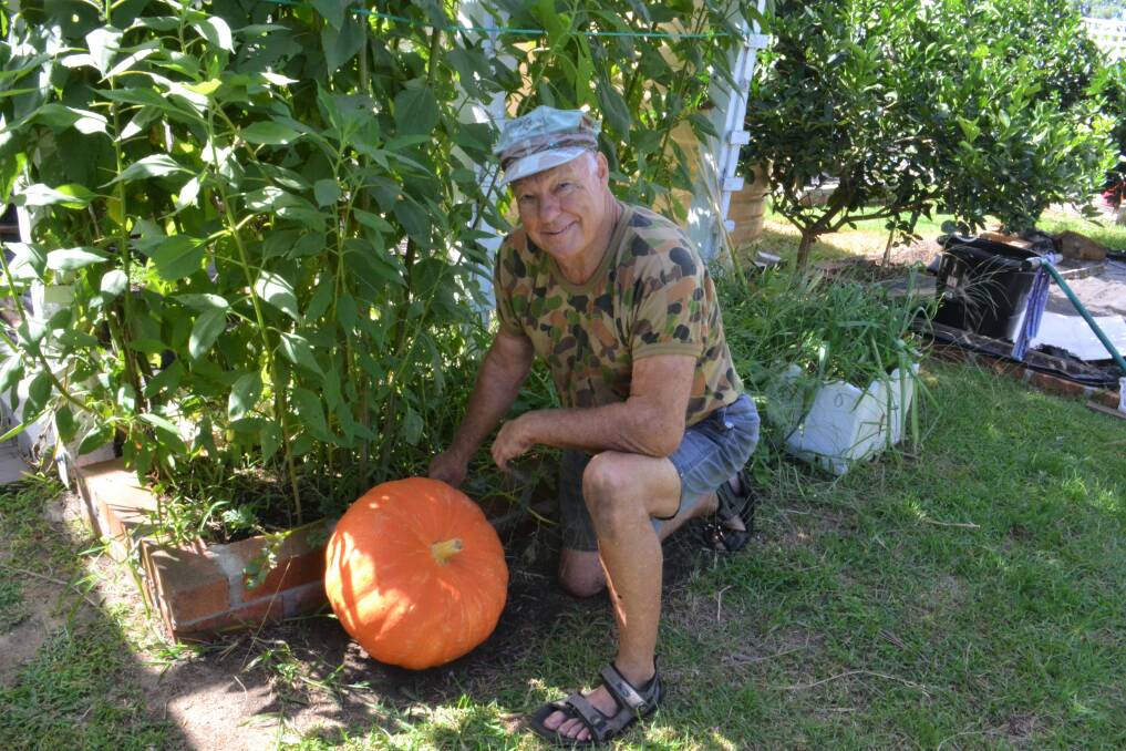 Doug Black's 42cm pumpkin. Doug shows the South Coast Register around his garden on Wednesday. Picture: Rebecca Fist