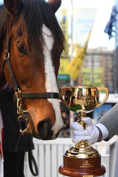 golden cup: The first Tuesday in November will see the running of the 157th Melbourne Cup and the country will be ready to celebrate.