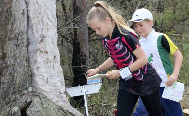 Want to try orienteering? Here's your chance.