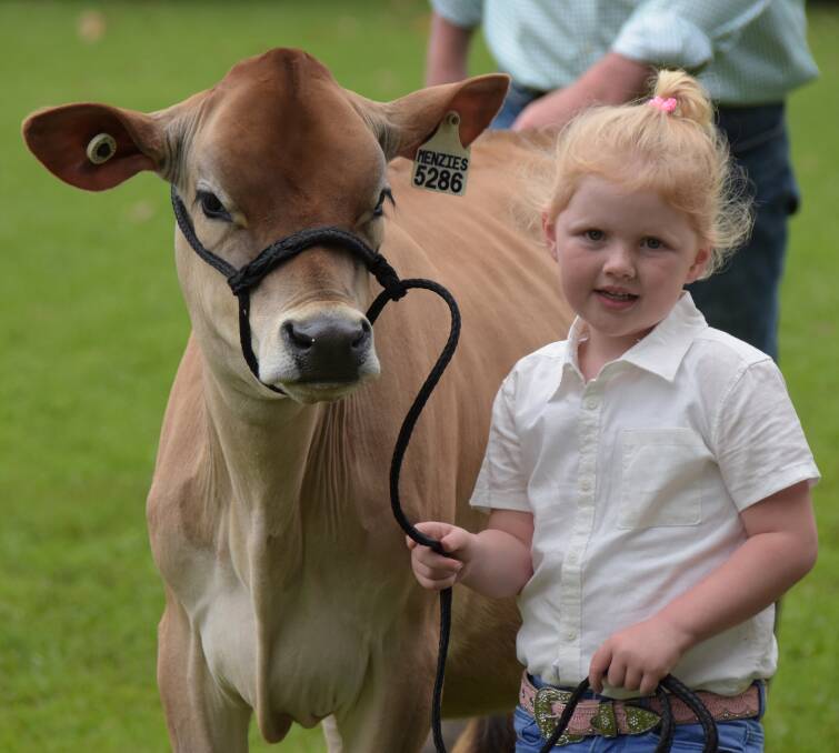 South Coast and Tablelands Holstein Association Spring Heifer Classic 2021.