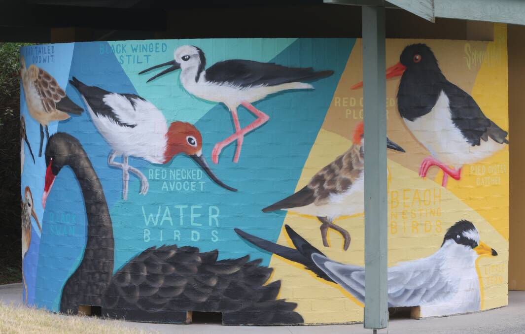 MURAL: Kiama artist Sam Hall has created a brilliant mural depicting many of the bird species found at Lake Wollumboola, featuring, of course, the Little Tern.
