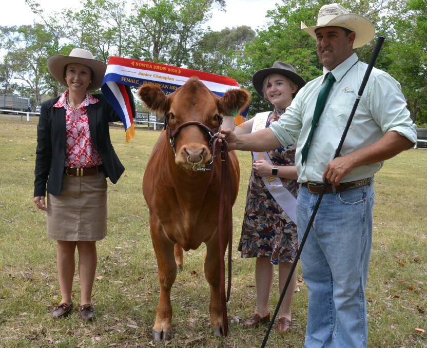 
Junior champion female European breed in the beef cattle section at the Nowra Show was  Brewer family’s Curemont Maddison Karamba shown by Damien Cooper. Judge Annika Whales and Showgirl entrant Molly Adams present the ribbon.
