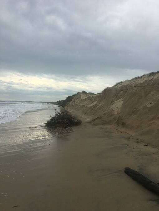 ONCE A BEACH? The massive erosion on Seven Mile Beach at Shoalhaven Heads. Image supplied