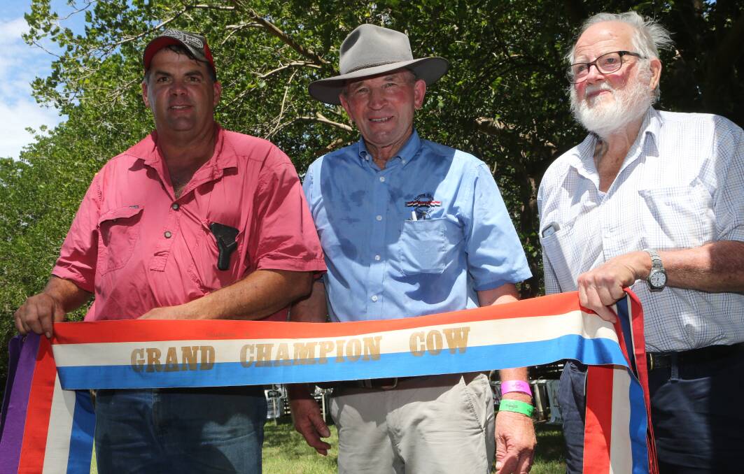 Bob (left) and Geoff Herne (right) show off the 1919 Grand Champion Cow ribbon from the 1919 Nowra Victory Show, with current chief cattle steward Alan Garratty.