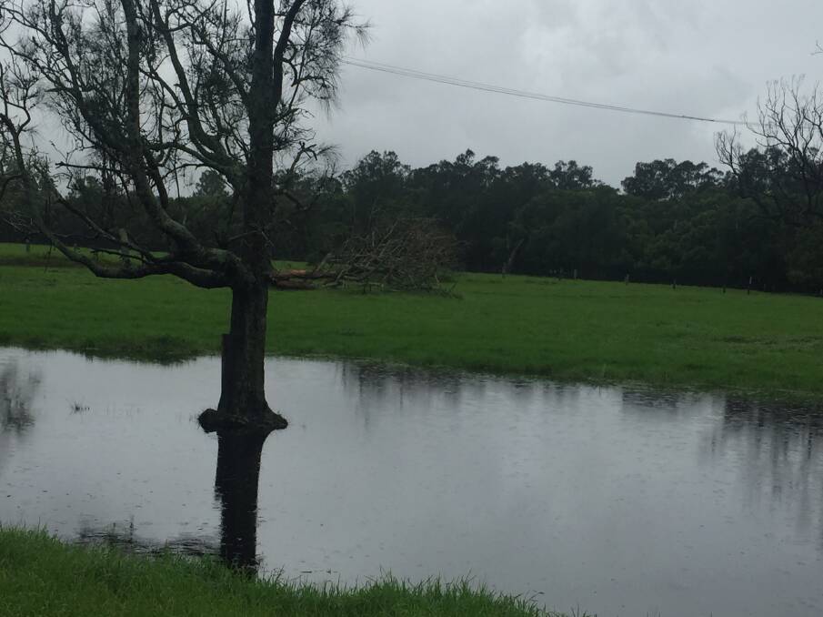 WET: Water is starting to lie on the Shoalhaven floodplain.