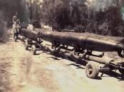 HISTORY: Torpedoes at the BTU base. Photo: Von Potts