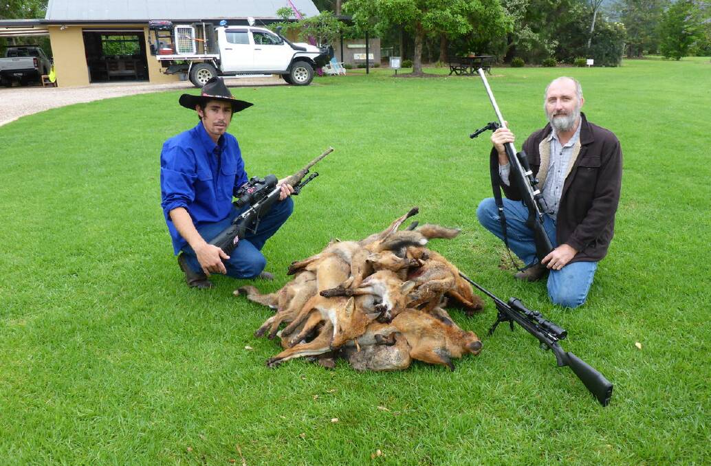 
Rad Tyrell and Grant White with some of the foxes shot recently as part of the Berry to Budgong Fox Control Program.
