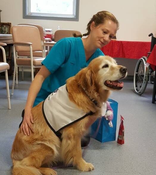 POPULAR: Bear the much-loved and well-known Shoalhaven therapy dog loved his various visits.