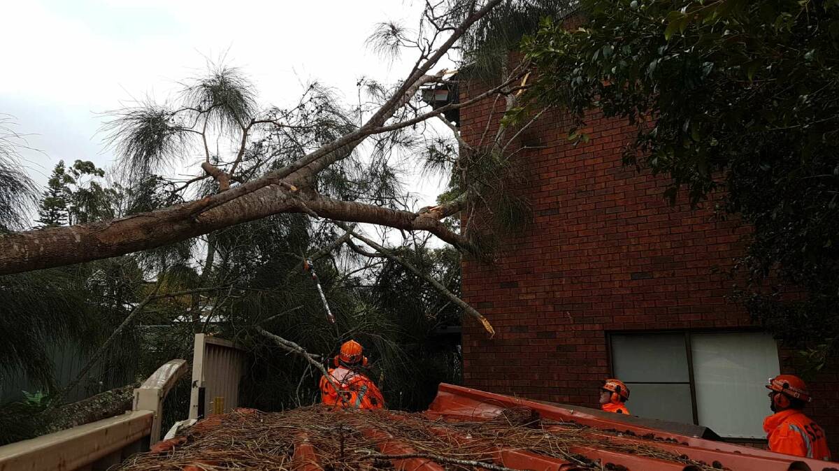 THERE TO HELP: State Emergency Service volunteers are urging you to be prepared this storm season. Photo: NSW SES Ulladulla Unit.