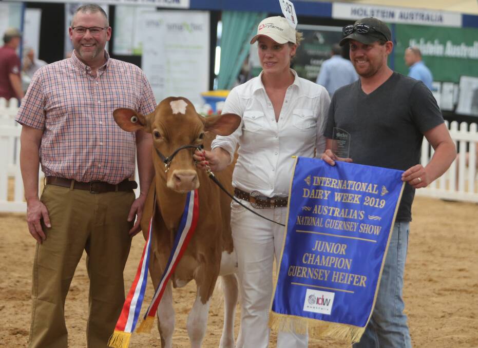 Numbaa’s Marty Downs (right) took out IDW junior champion Guernsey with Brookleigh Imeeta shown by Jess Gavenlock with US judge Chris Lang. 