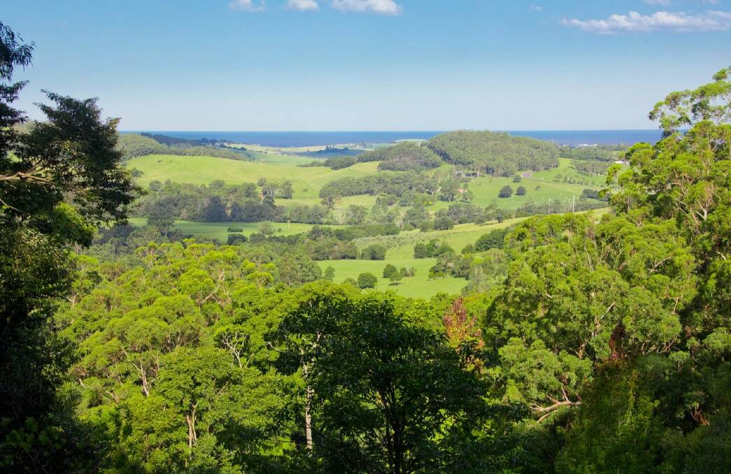SUPERB VIEWS: As well 10.6 hectares that boasts its own rainforest walk, Never-Never Land at Broughton Village also has stunning views to the ocean over rolling green hills. Image: Supplied 