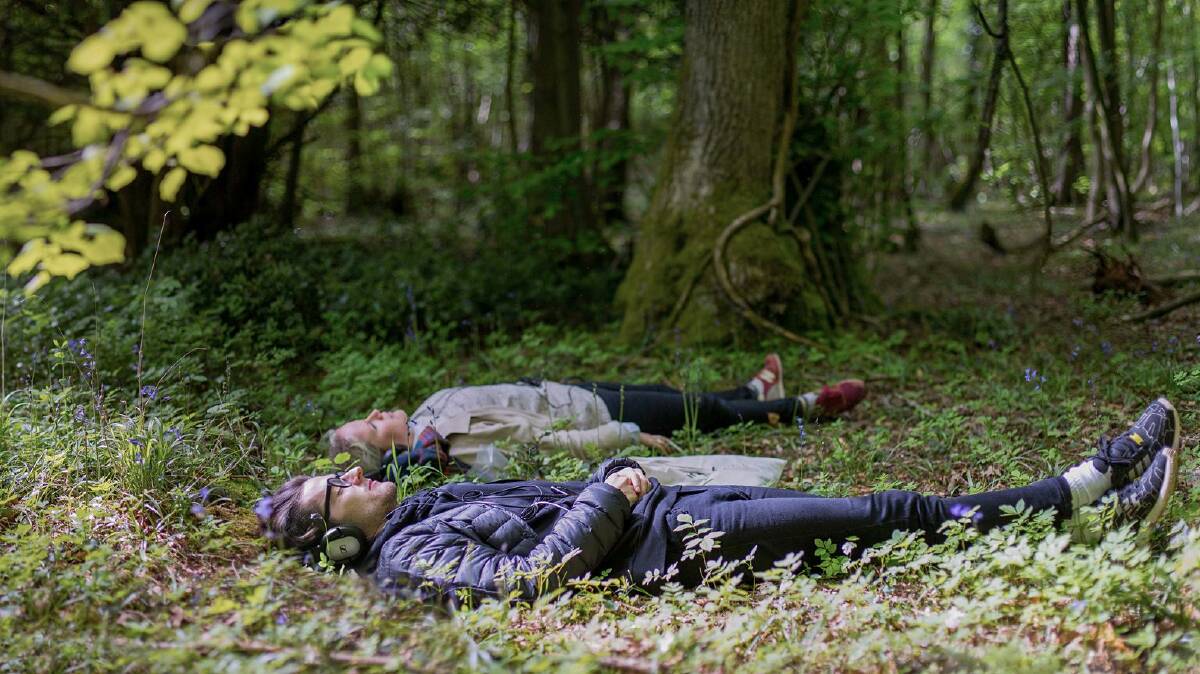 Enjoy audio work, Bushland by French & Mottershead lying beneath the trees. Photo: Paul Blak