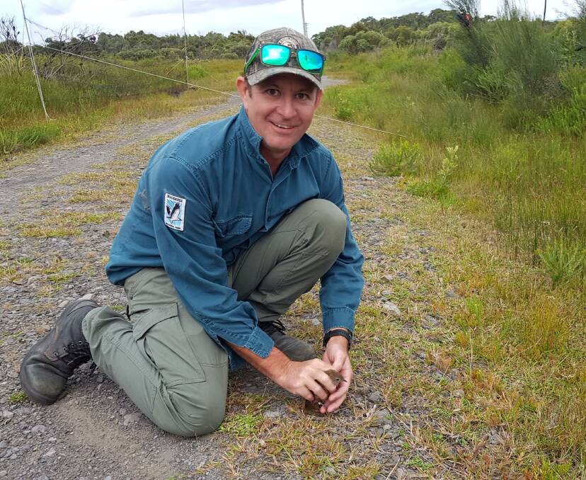 COUNT: Booderee Natural Resources Team Leader Dion Maple about to release an Eastern Bristlebird at Booderee National Park.