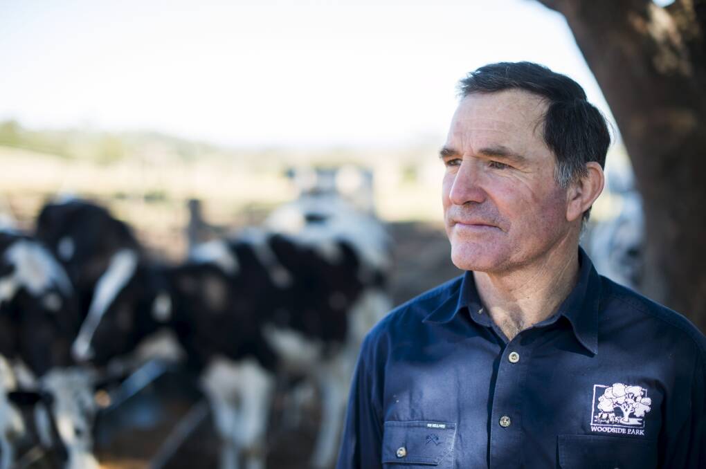 BATTLE: Berry dairy farmer Rob McIntosh is disappointed Coles won’t stand up with Woolworths and removed $1 per litre milk. Photo: Rohan Thomson