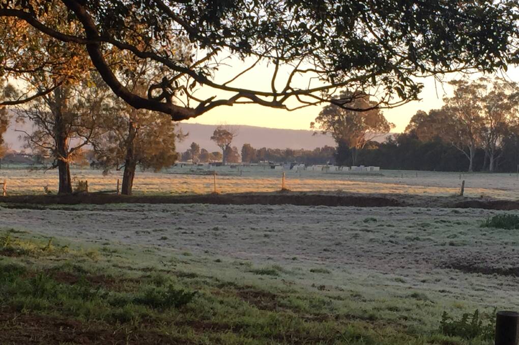 Farmland east of Nowra was blanketed with frost on Wednesday morning.