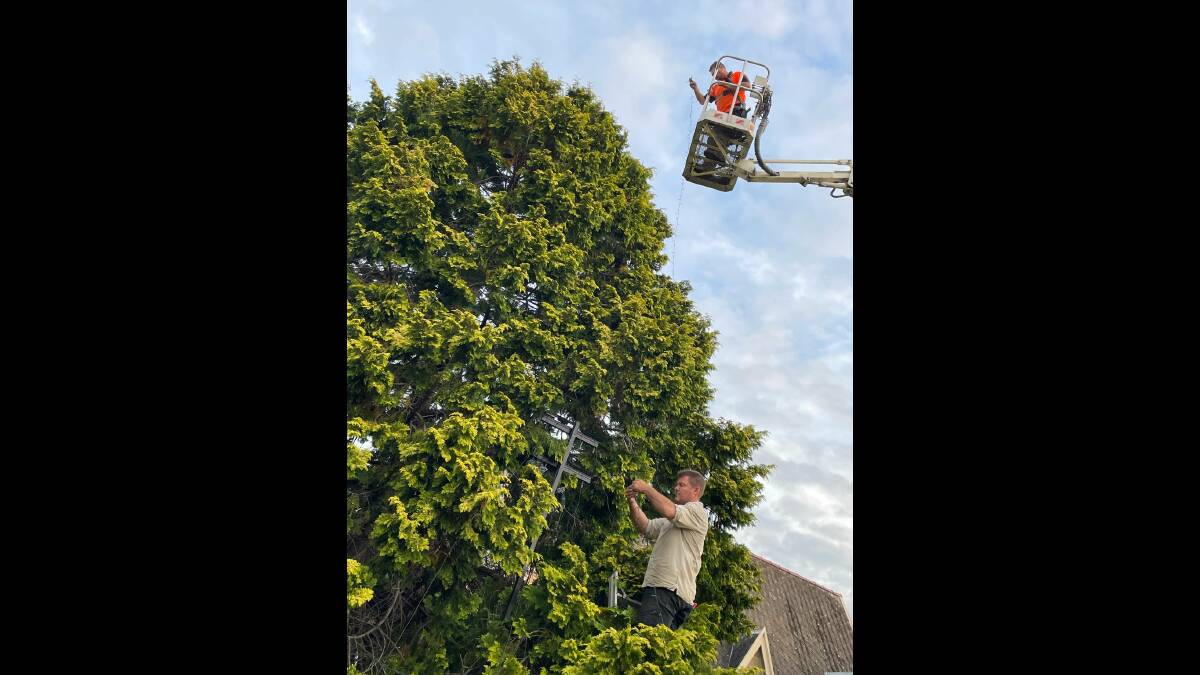 INSTALLATION: Chris Hobbs, of C&S Tree Services and Mick Finch, of SchMick Energy installing 1600 solar powered lights into the large conifer in front of the Nowra Uniting Church.