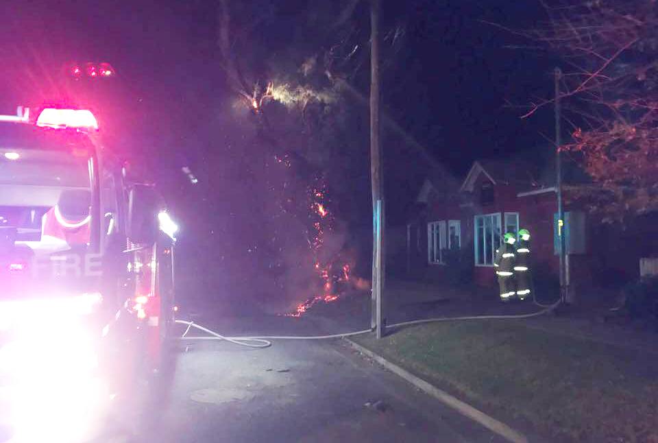 Fire and Rescue NSW Berry 224 crews extinguished a suspicious fire in a tree in Albert Street late Saturday night. Photo: Fire and Rescue NSW Berry 224