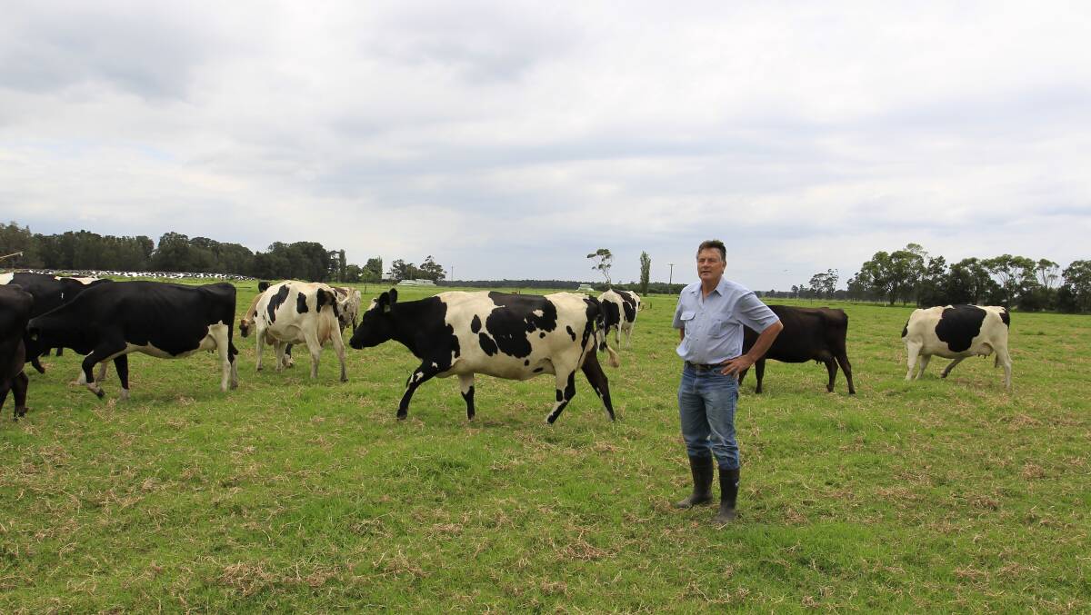 
NSW Fresh Milk and Dairy Advocate Ian Zandstra.
