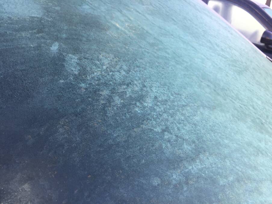 ICED UP: As temperatures dropped as low as 3.5 degrees in and around Nowra many residents experienced ice on their windscreens come Thursday morning.