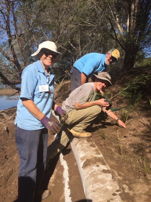 Shoalhaven Riverwatch volunteers Ros Christie and Tony Innis work with Local Land Services officer Graham Scott planting grasses behind the sand sausage. 
