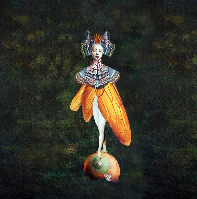 Deborah Kelly's The Gods of Tiny Things, is a pantheon of fleeting deity-creatures.