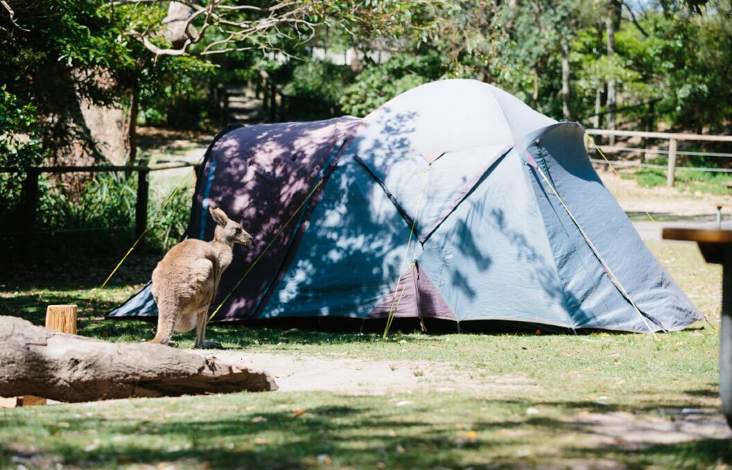 If you havent booked a campsite, you cant stay overnight at Booderee National Park. Image: Supplied