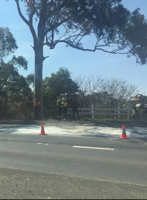 Emergency services have mopped up most of the concrete spill on the Princes Highway north of the southbound Shoalhaven River bridge. Photo Madeline Crittenden