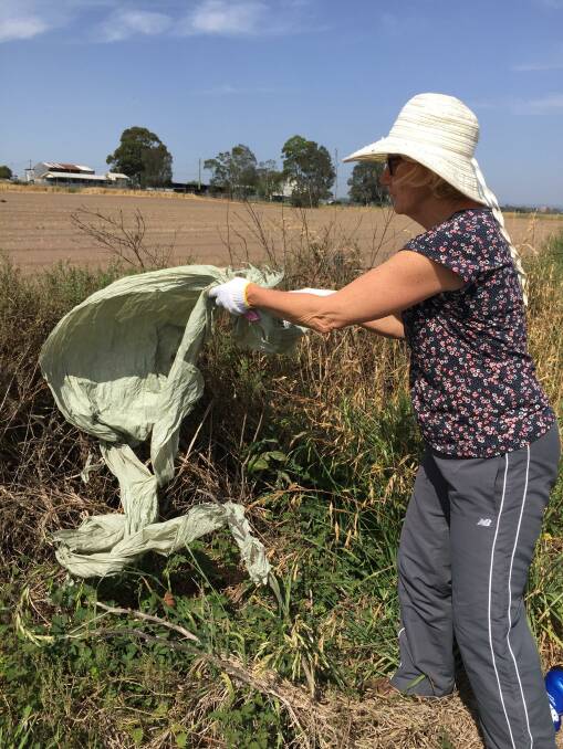 Great work: Volunteer Norma Clanfield assists in collecting silage plastic from the fences along Bolong Road.