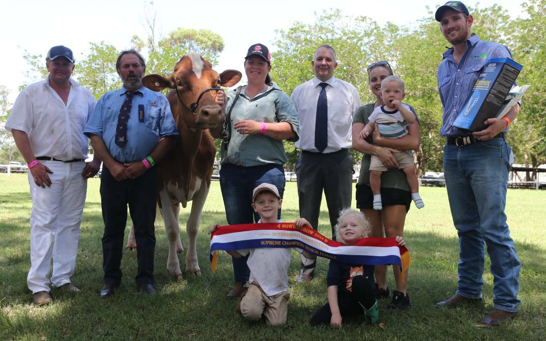 WHO WILL BE THIS YEAR'S CHAMPION? The Crawford family took out the 2019 Nowra Show supreme champion dairy cow Exkwizit Active Barbell (from left) Darren Crawford, judge Brett Hayter, Abbey Crawford, judge Craig Cochrane, Chloe Edlin nursing Parker, Harry and Bella Crawford with Tim Moorley-Sattler, from AgriWest CRT.