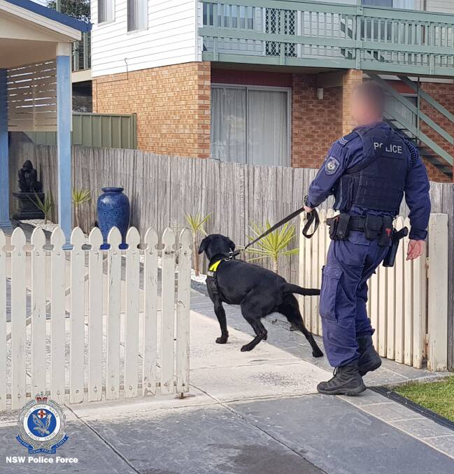 Officers from Strike Force Adnamira and Strike Force Raptor including the dog squad took part in Friday morning's raid at Culburra Beach. Photo: NSW Police Media