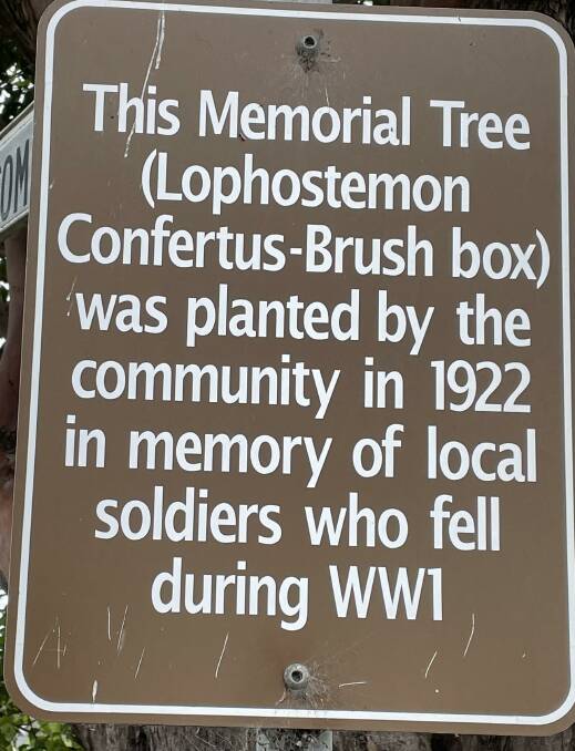 Pyree memorial tree, a monument to those who paid the ultimate sacrifice