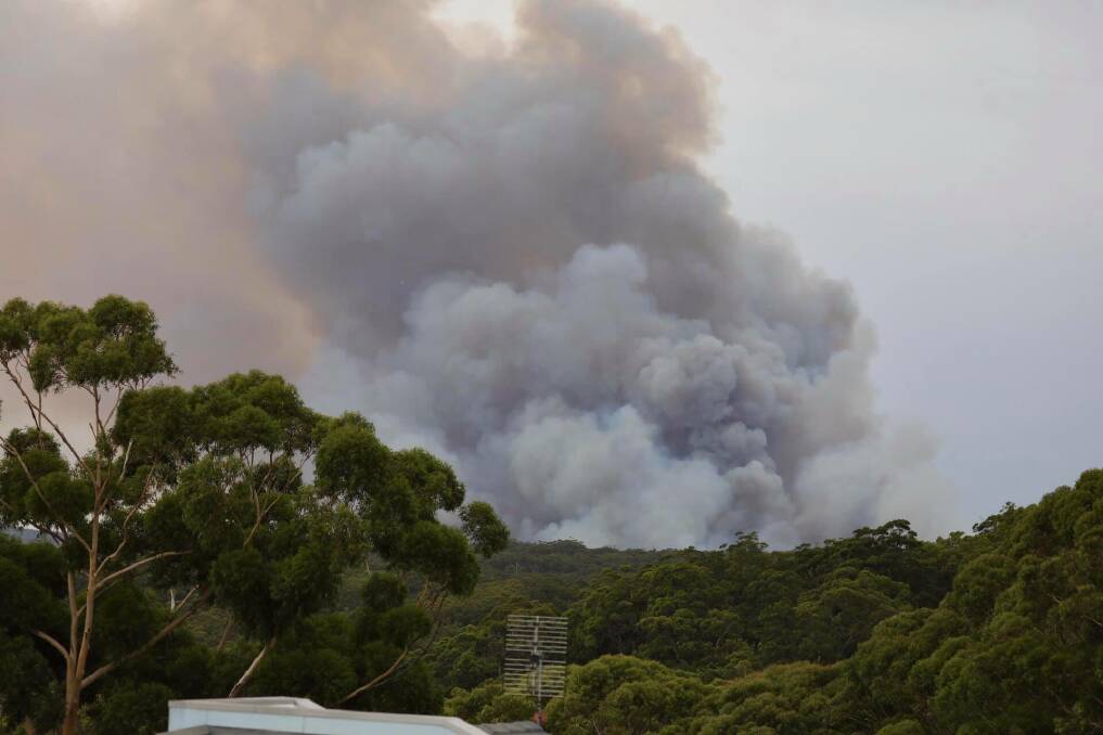Fire roars through Booderee National Park. Photo: Maree Clout
