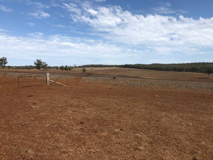 Andrew Orman’s parched property at Goolhi north east of Gilgandra.

