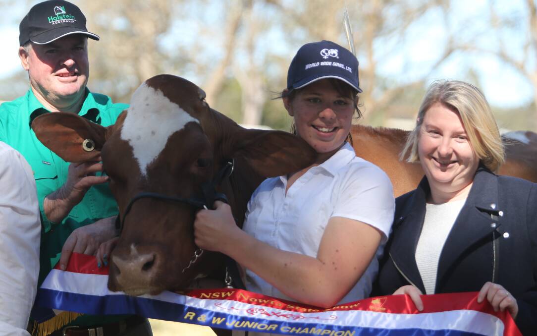 Junior champion red and white was Emily Jefferys entry Whitegold PG Diamond Tequila with Steve King and Jacqui Crapp.