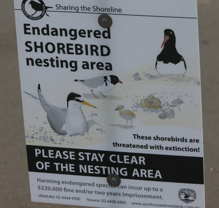 BE AWARE: Above and below - South Coast Shorebird Recovery volunteers have erected numerous signs and fences around the Little Terns' nesting areas at Lake Wollumboola to try and keep them safe.