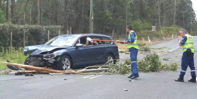 LUCKY ESCAPE: Four people were trapped in a car on Jervis Bay Road after a tree came down onto their vehicle, bringing powerlines with it, trapping the occupants inside.