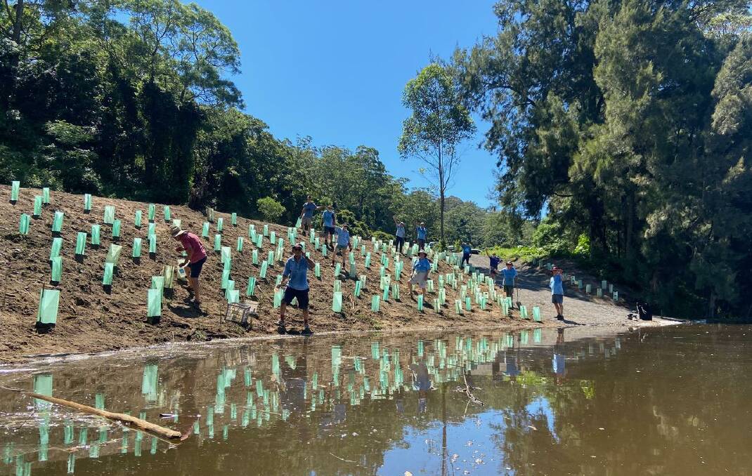JOBS DONE: Shoalhaven Riverwatch members working hard to plant 250 lomandras and sedges along the banks of the Shoalhaven River at Marla Guppy and Denny Halls property at Wogamia. 