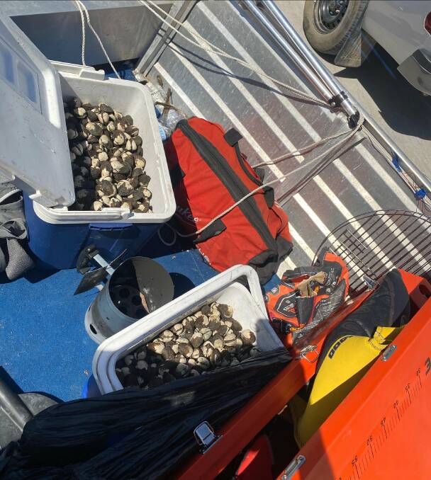 HAUL: Some of the cockles allegedly illegally taken from Sussex Inlet.
