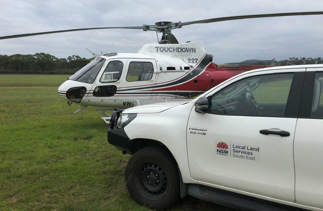 READY TO GO: South East Local Land Services biosecurity teams ready to head out on another aerial surveillance operation.