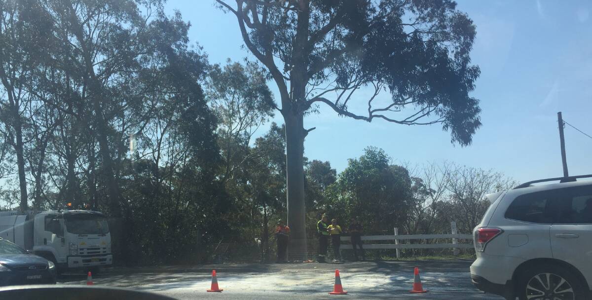 Emergency services have mopped up most of the concrete spill on the Princes Highway north of the southbound Shoalhaven River bridge. Photo Madeline Crittenden
