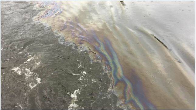 LARGE SLICK: Shoalhaven Riverwatch member Allan Lugg discovered a large oil slick on the Shoalhaven River on Sunday morning. Image: Shoalhaven Riverwatch