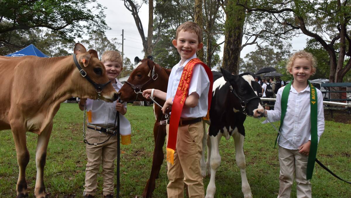 IN THE RING: The young paraders again stole the show in the dairy section of the Nowra Show. Cousins Beau Chittick, Hayden and Lucy Cochrane proudly showed off their heifers.