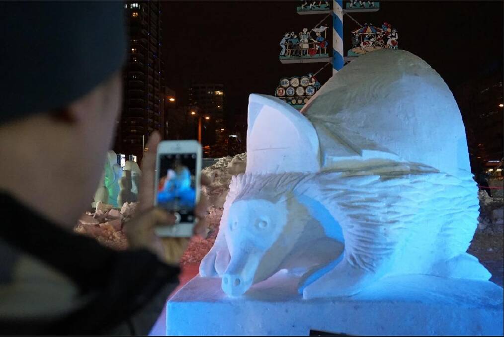 2017 CREATION: Team Australia’s finished the snow sculpture "Opera-chidna" struck a chord with crowds at Japan’s Sapporo Festival.