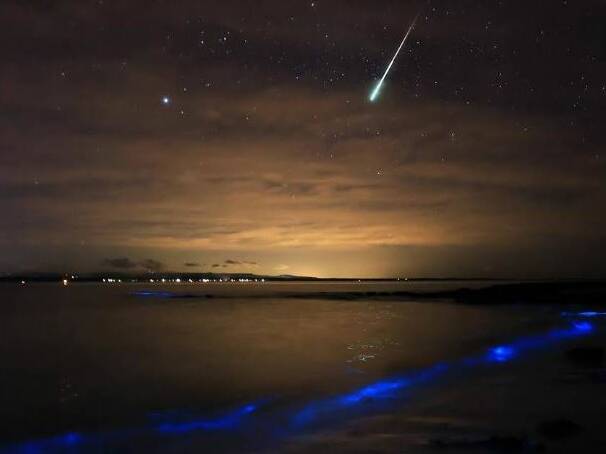  Its not every day you get to see, let alone photograph, bioluminescence and then throw a meteor into the equation. But Vincentia photographer Maree Clout managed to capture it in August 2015. 