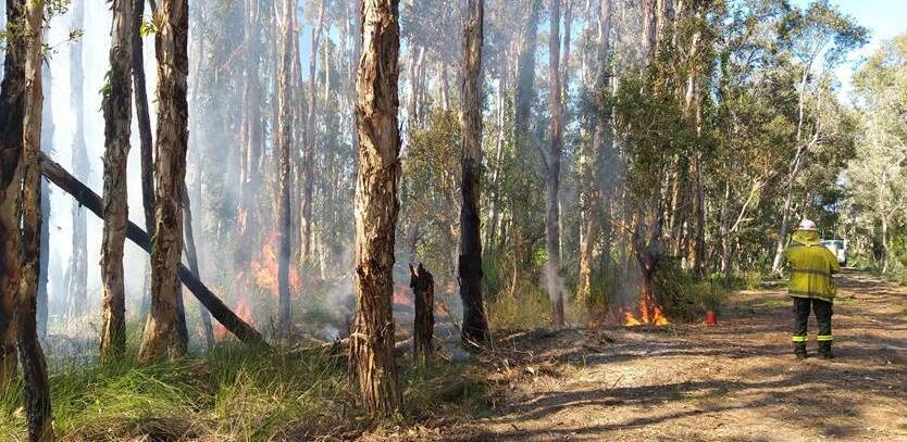 OPERATION: National Parks and Wildlife Service and the NSW Rural Fire Service are undertaking a hazard reduction burn in Jervis Bay National Park today (Friday). Image: Department of Planning, Industry and Environment