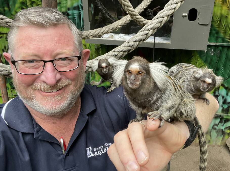 WOW: South Coast Register journalist Rob Crawford gets to experince the marmosets at Shoalhaven Zoo.
